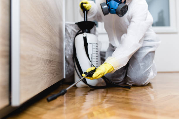 Best Rat Extermination Near Me  in Salmon, ID