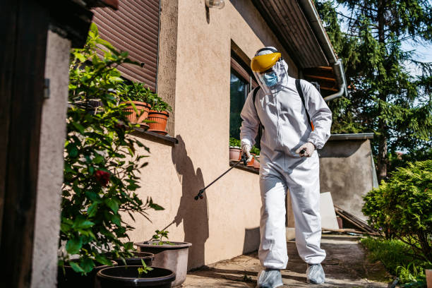 Best Wasp Removal Services  in Salmon, ID