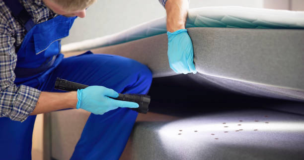 Best Bed Bug Extermination  in Salmon, ID
