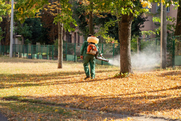 Best Best Pest Control Companies  in Salmon, ID