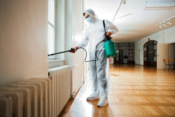 Best Affordable Pest Control Services  in Salmon, ID